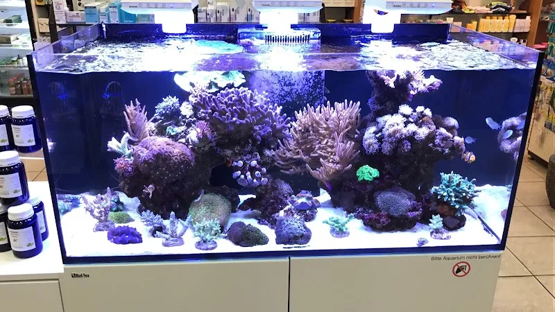 Meerwassershop — Zoofachhandel, Uster, Zürich. Foto 3