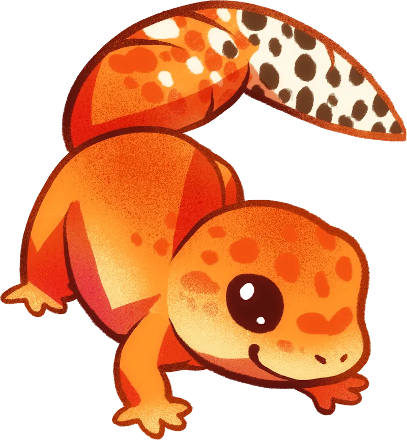 Nathifas Gecko Zucht — Zoofachhandel, Winterthur, Zürich. Foto 2