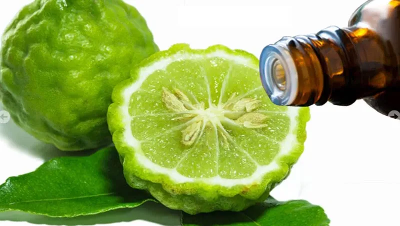 Naturheilkunde & Zootechnik GmbH — Zoofachhandel, Rüti, Zürich. Foto 2