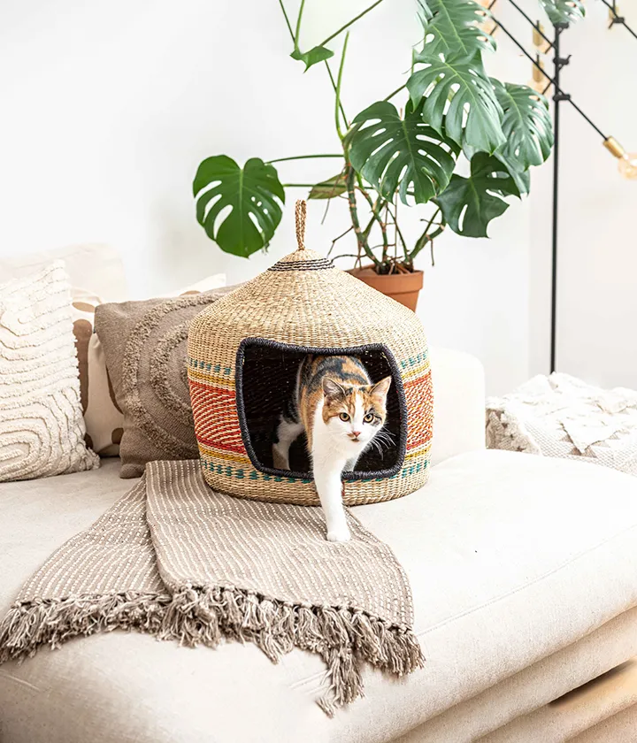 PET & Co. - tierisch stilvoll für Hunde und Katzen – im home24 Showroom — Animalerie, Zürich, Zurich. Foto 3