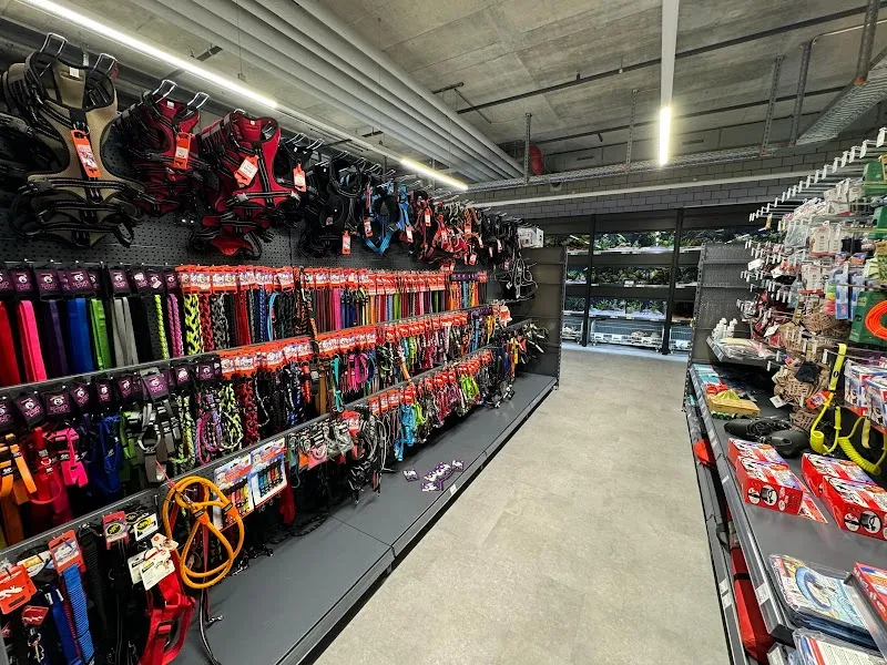 Petfriends Bachenbülach — Animalerie, Bachenbülach, Zurich. Foto 2