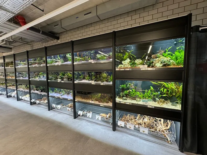 Petfriends Bachenbülach — Animalerie, Bachenbülach, Zurich. Foto 3