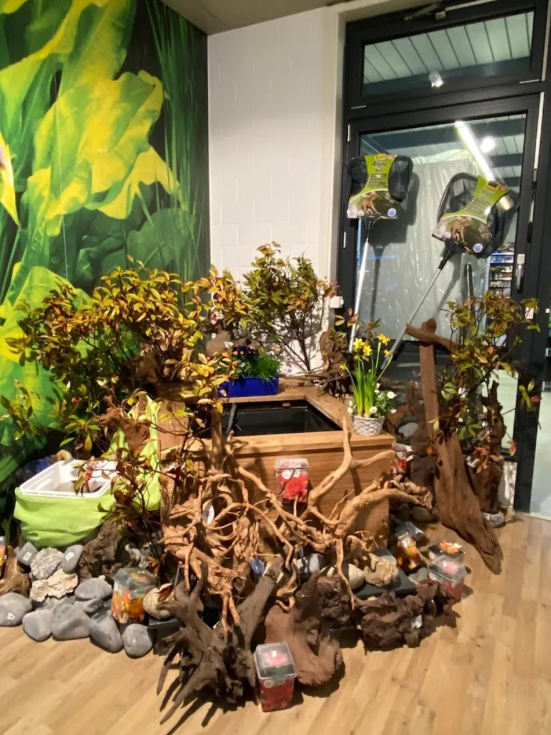 Petfriends Wetzikon — Animalerie, Wetzikon, Zurich. Foto 3