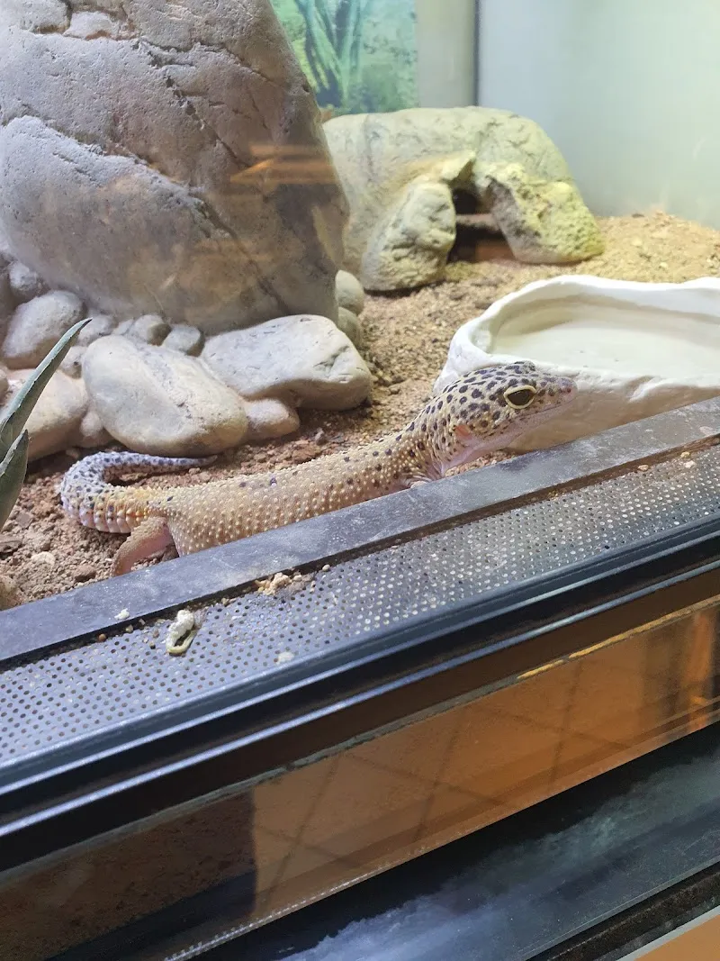 QUALIPET Center Bremgarten — Animalerie, Bremgarten, Argovie. Foto 3