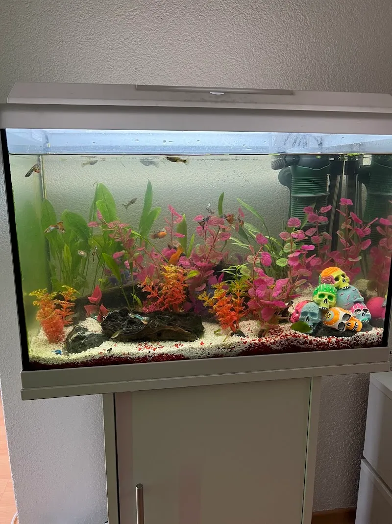 QUALIPET Center Hinwil — Animalerie, Hinwil, Zurich. Foto 3