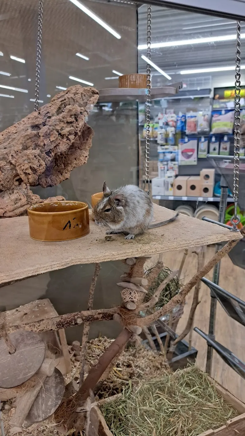 QUALIPET Center Regensdorf — Zoofachhandel in Regensdorf, Zürich. Bewertung 4.3/5.