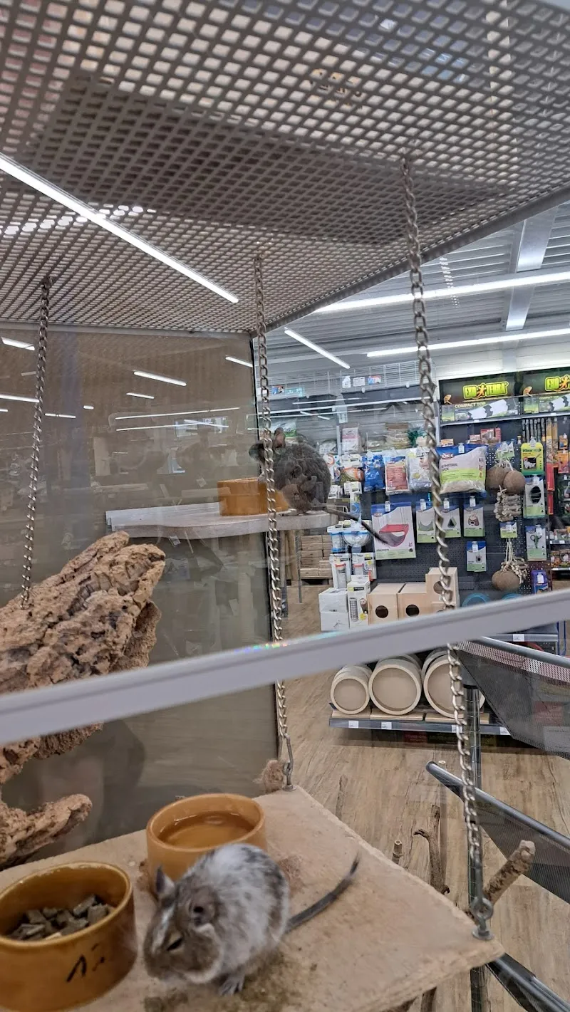 QUALIPET Center Regensdorf — Animalerie, Regensdorf, Zurich. Foto 3