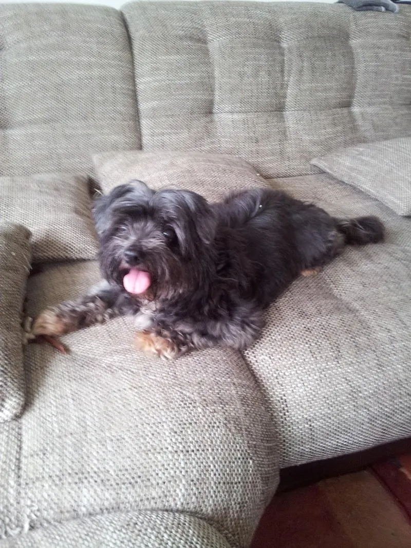 QUALIPET Center Rüti — Animalerie, Rüti, Zurich. Foto 3