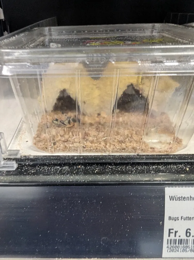 QUALIPET Center Schlieren — Animalerie, Schlieren, Zurich. Foto 3