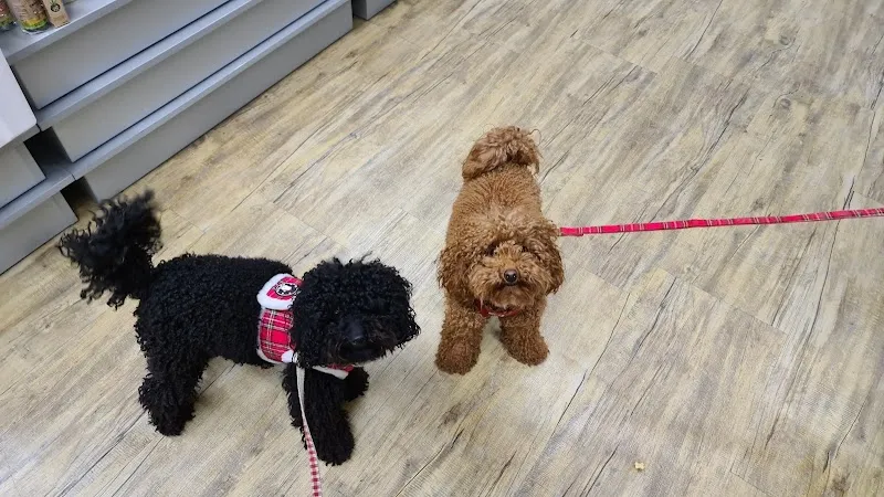 QUALIPET Center Thalwil — Zoofachhandel, Thalwil, Zürich. Foto 3