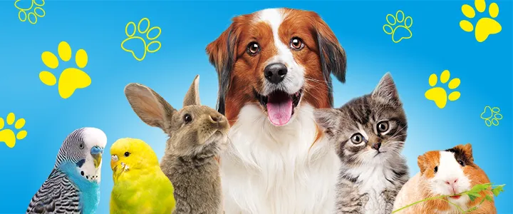 QUALIPET Center Wädenswil — Zoofachhandel in Wädenswil, Zürich. Bewertung 4.3/5.