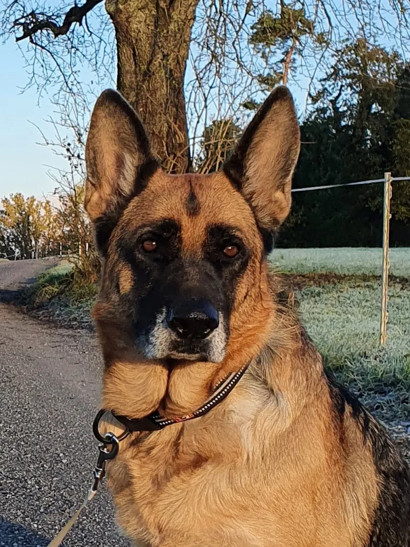 QUALIPET Center Wädenswil — Animalerie, Wädenswil, Zurich. Foto 2