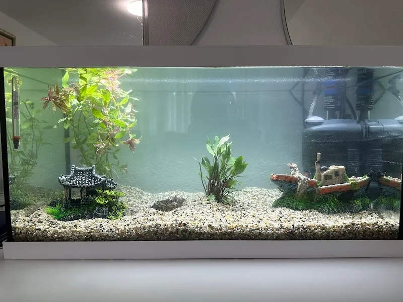 QUALIPET Winterthur Rosenberg — Animalerie, Winterthur, Zurich. Foto 3