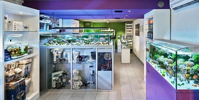 Sea Planet — Zoofachhandel in Oberohringen, Zürich. Bewertung 4.7/5.