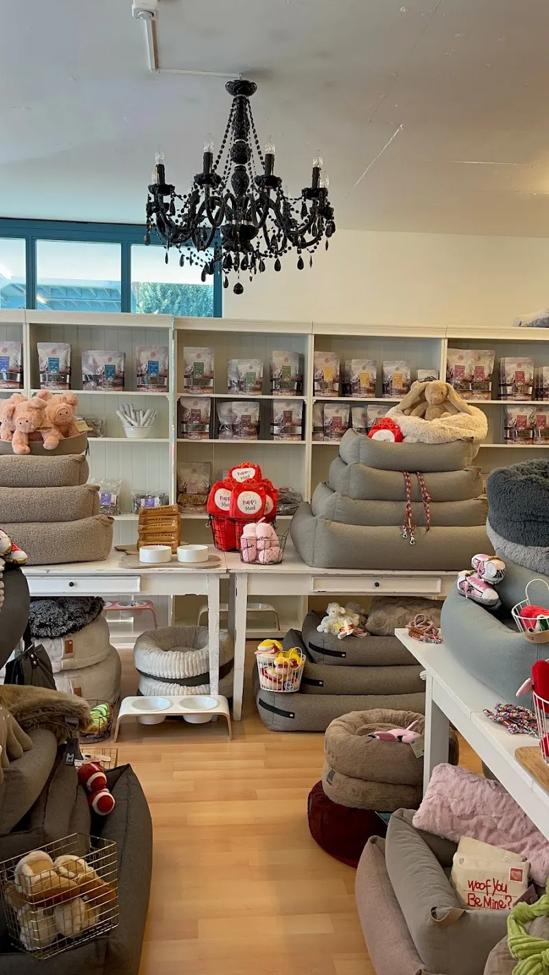 Sniffany & Co. — Zoofachhandel, Gockhausen, Zürich. Foto 2