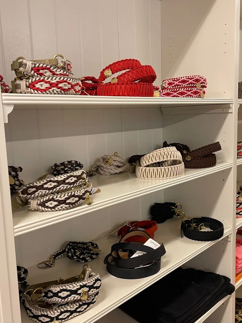 Sniffany & Co. — Zoofachhandel, Gockhausen, Zürich. Foto 3