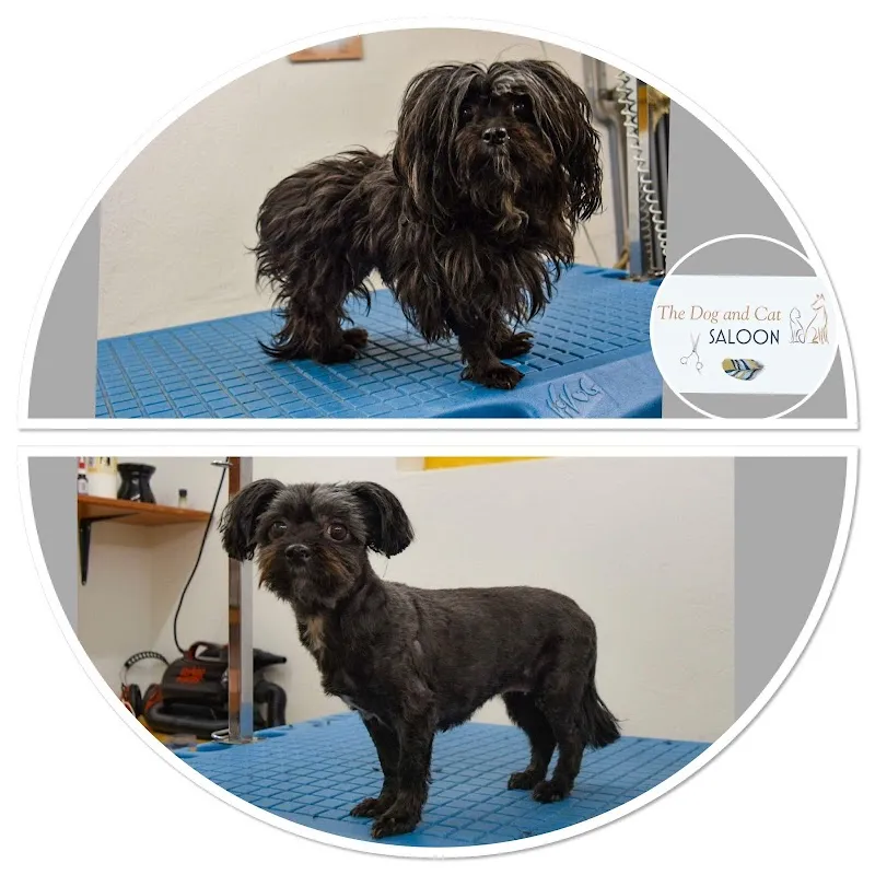 The Dog and Cat Shop — Animalerie, Bäretswil, Zurich. Foto 3