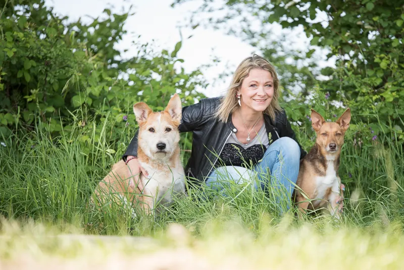 Pet-Relax — Katzenpension, Duggingen, Basel-Landschaft. Foto 2