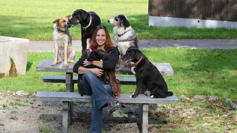 4pfotenfreund — Katzenpension in Freienstein-Teufen, Zürich. Bewertung 4.0/5.