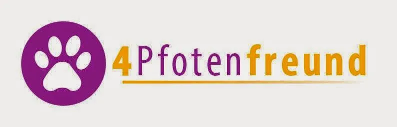 4pfotenfreund — Pension pour chats, Freienstein-Teufen, Zurich. Foto 3