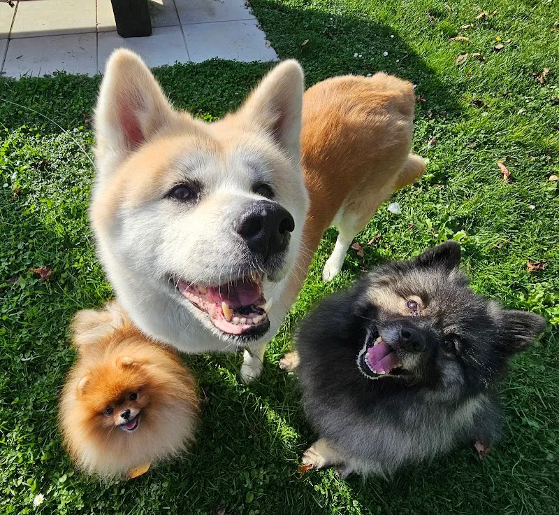 TierSwiss BiMaPi GmbH — Zoofachhandel, Muri, Aargau. Foto 3