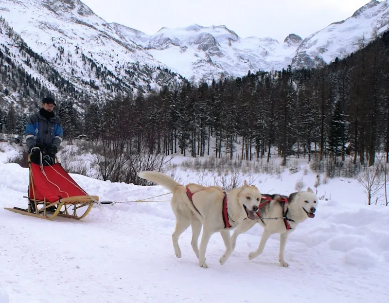 Wildlife Shop Heidi Müller-Ruoff — Zoofachhandel in Stäfa, Zürich. Bewertung 4.4/5.