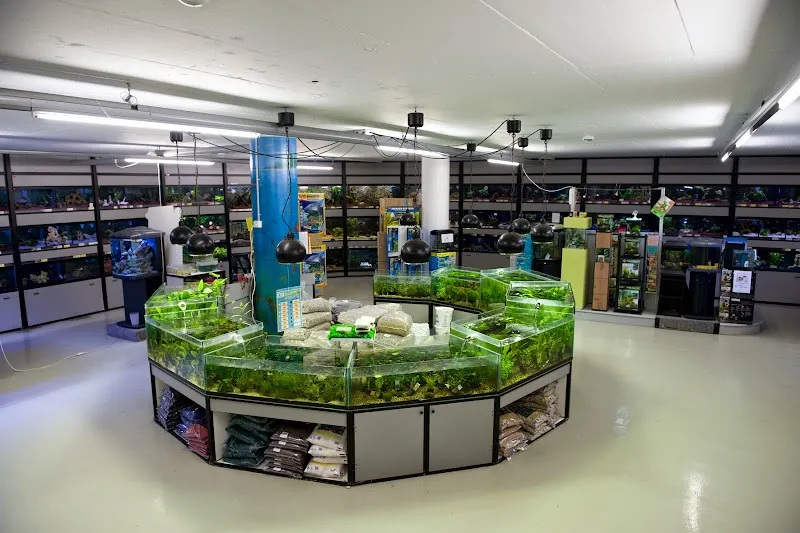 Zoo Kakadu AG - Zoohandlung in Zollikofen — Zoofachhandel, Zollikofen, Bern. Foto 2