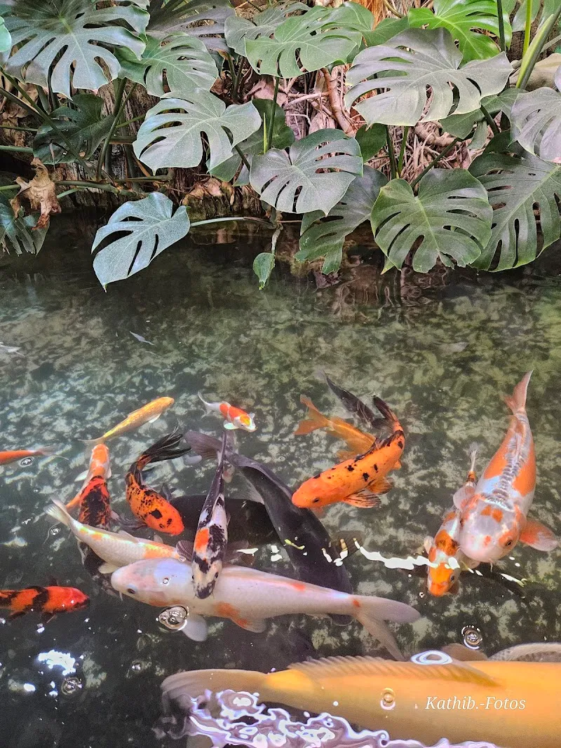 Zoo Kakadu AG - Zoohandlung in Zollikofen — Zoofachhandel, Zollikofen, Bern. Foto 3