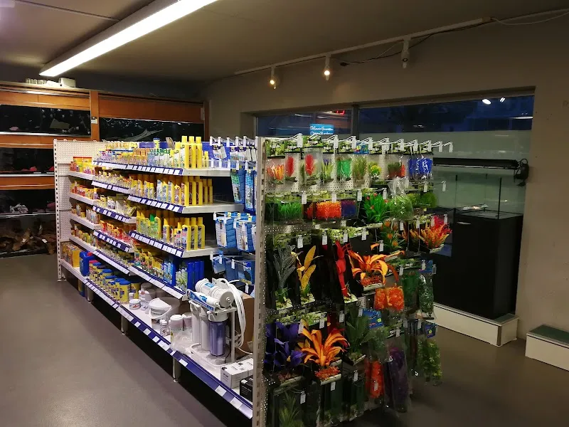 Zoo Widmer — Animalerie, Kirchdorf, Argovie. Foto 2