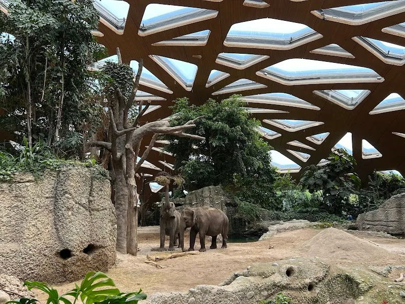 Zoo Zürich — Zoofachhandel in Zürich, Zürich. Bewertung 4.6/5.