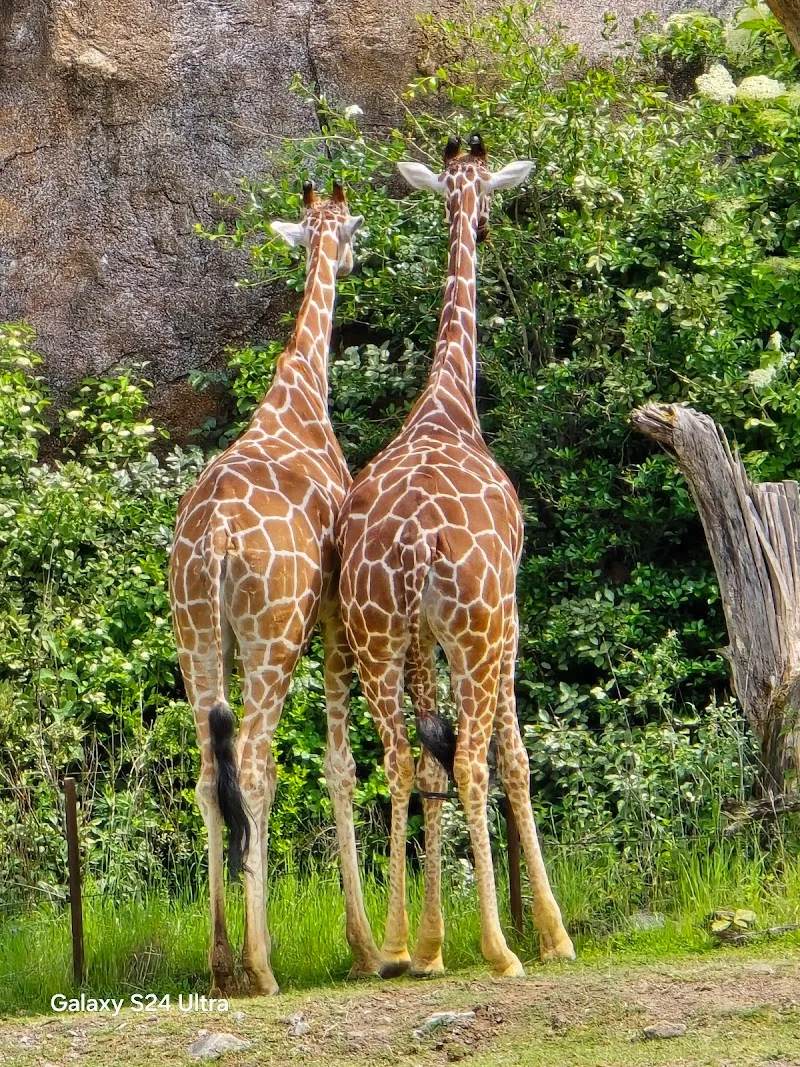 Zoo Zürich — Animalerie, Zürich, Zurich. Foto 3