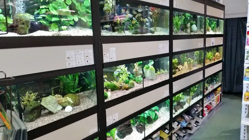 Zoo zum Birchplatz Zoofachgeschäft — Animalerie, Zürich, Zurich. Foto 2