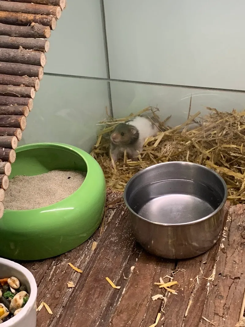 Zoo zum Birchplatz Zoofachgeschäft — Animalerie, Zürich, Zurich. Foto 3