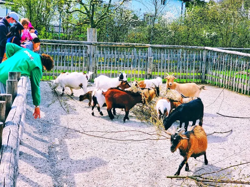 Zoolino — Zoofachhandel in Zürich, Zürich. Bewertung 4.7/5.