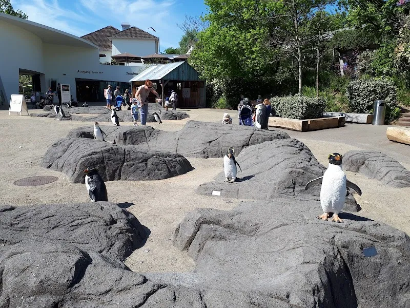 Zooshop — Animalerie, Zürich, Zurich. Foto 3