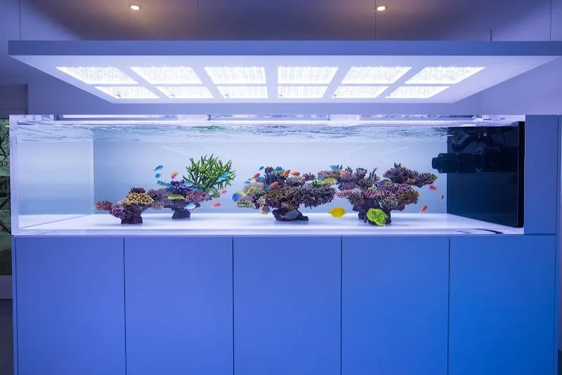 emoceans® — Zoofachhandel in Maur, Zürich. Bewertung 4.7/5.