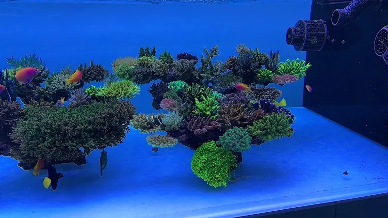 emoceans® — Animalerie, Maur, Zurich. Foto 2