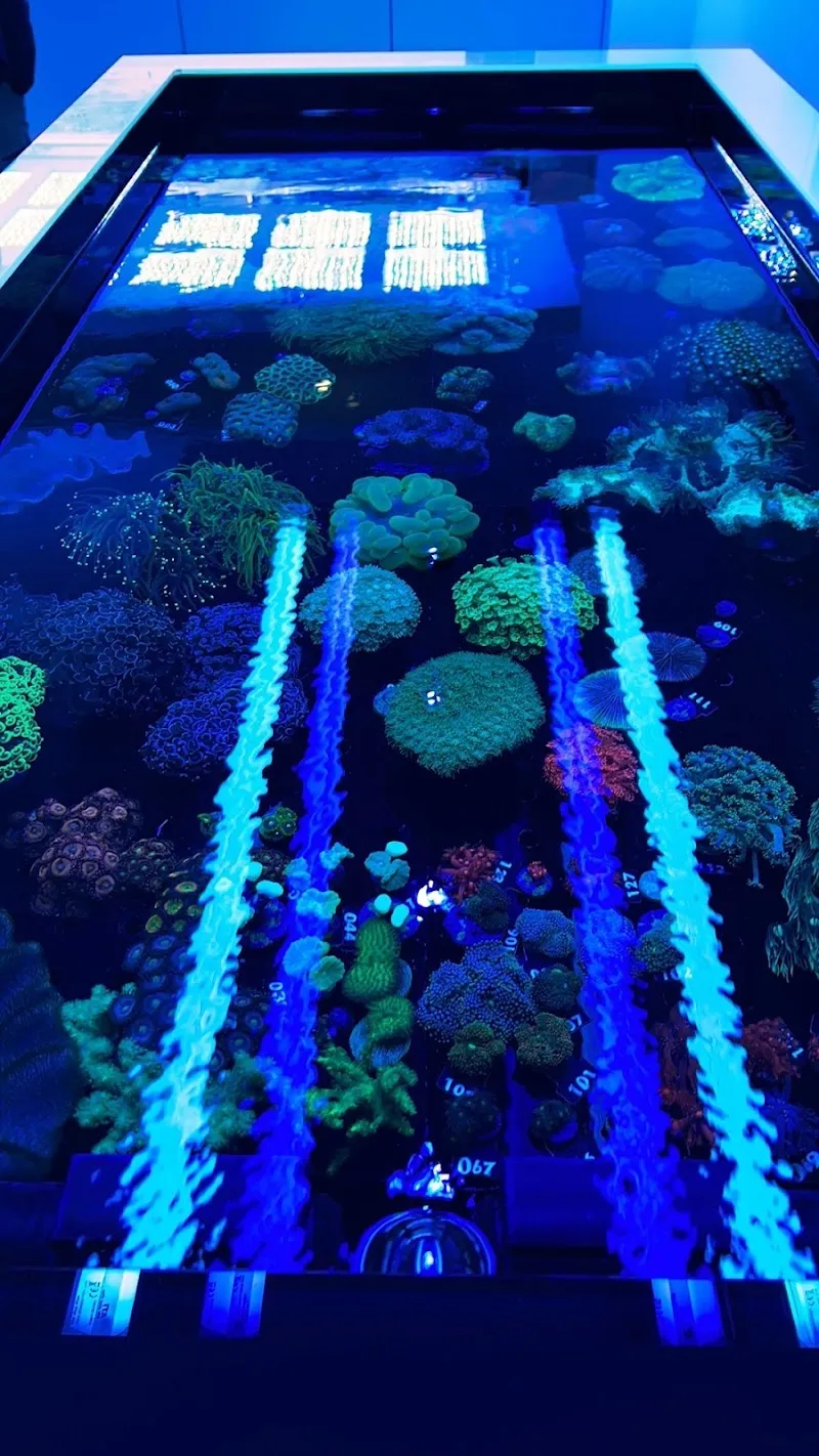 emoceans® — Animalerie, Maur, Zurich. Foto 3