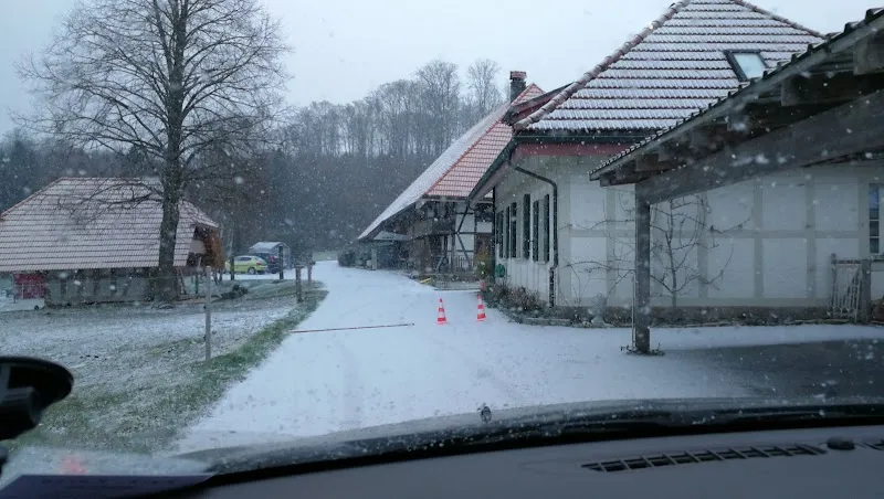 TIERZENTRUM HÖFLI — Pension pour chats, Bätterkinden, Berne. Foto 3