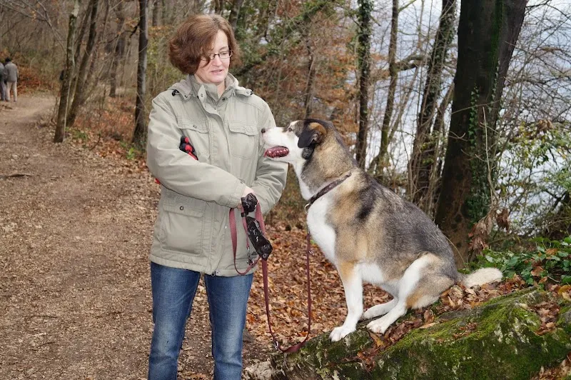 Tierbetreuung Schrämmli — Katzenpension in Winznau, Solothurn. Bewertung 5.0/5.