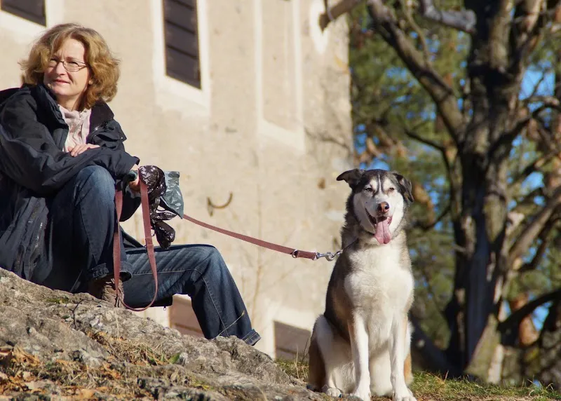 Tierbetreuung Schrämmli — Pension pour chats, Winznau, Soleure. Foto 2