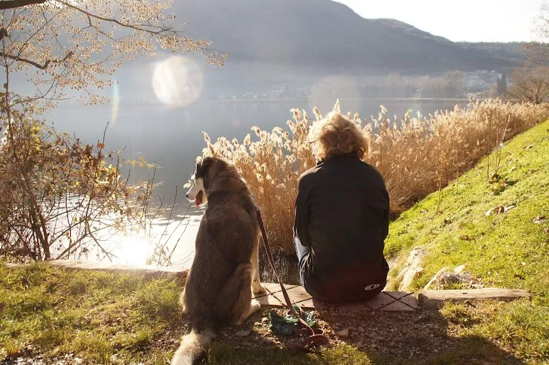 Tierbetreuung Schrämmli — Pension pour chats, Winznau, Soleure. Foto 3