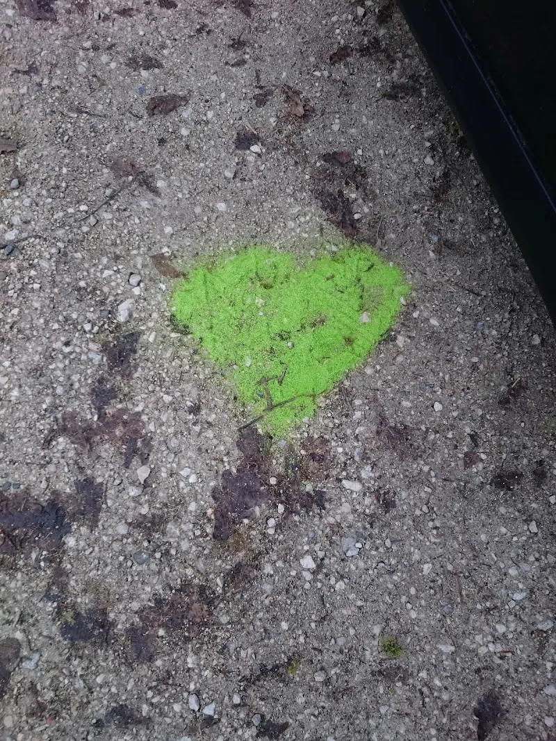 Tierzentrum Bätterkinden — Katzenpension in Bätterkinden, Bern. Bewertung 4.9/5.