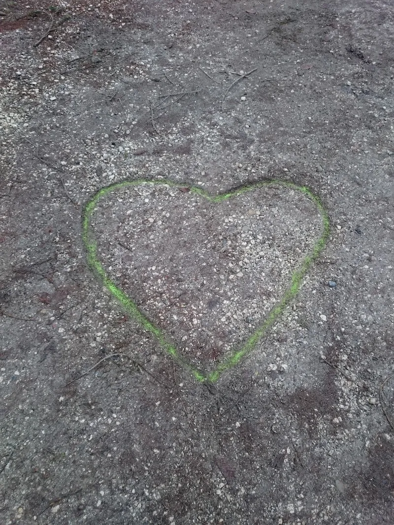 Tierzentrum Bätterkinden — Katzenpension, Bätterkinden, Bern. Foto 2