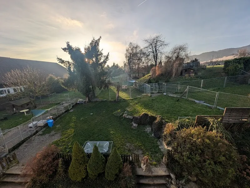 Tierzentrum Wengerhof — Katzenpension in Bellach, Solothurn. Bewertung 4.7/5.