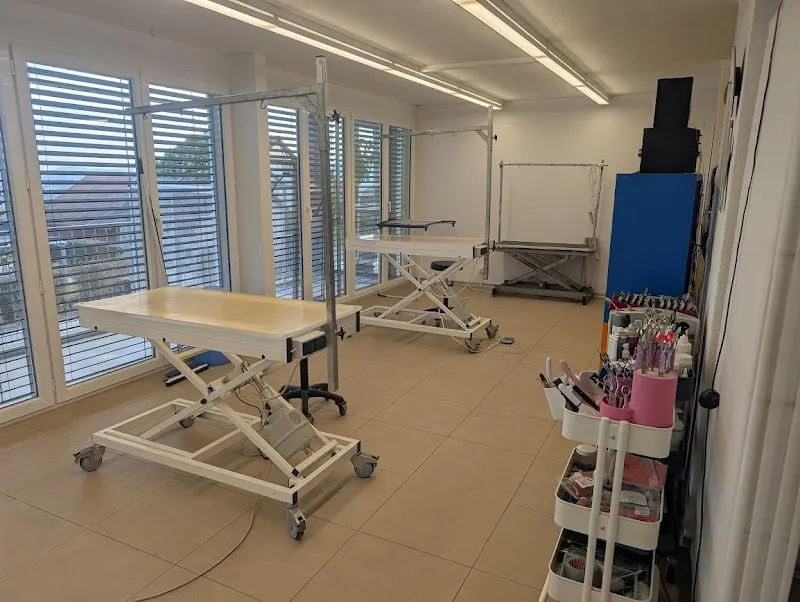 Tierzentrum Wengerhof — Pensione per gatti, Bellach, Soletta. Foto 2