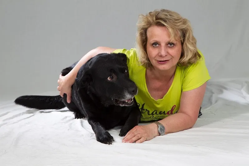 4pfotenbetreuung.ch — Katzenpension in Rapperswil-Jona, St. Gallen. Bewertung 5.0/5.