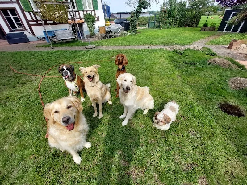 Haus der Tiere - Opfershofen | Tierpension & Webseiten — Katzenpension in Opfershofen, Thurgau. Bewertung 5.0/5.