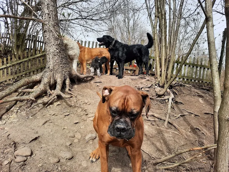 Haustierservice Beat Senn — Katzenpension in Schmidrüti, Zürich. Bewertung 5.0/5.