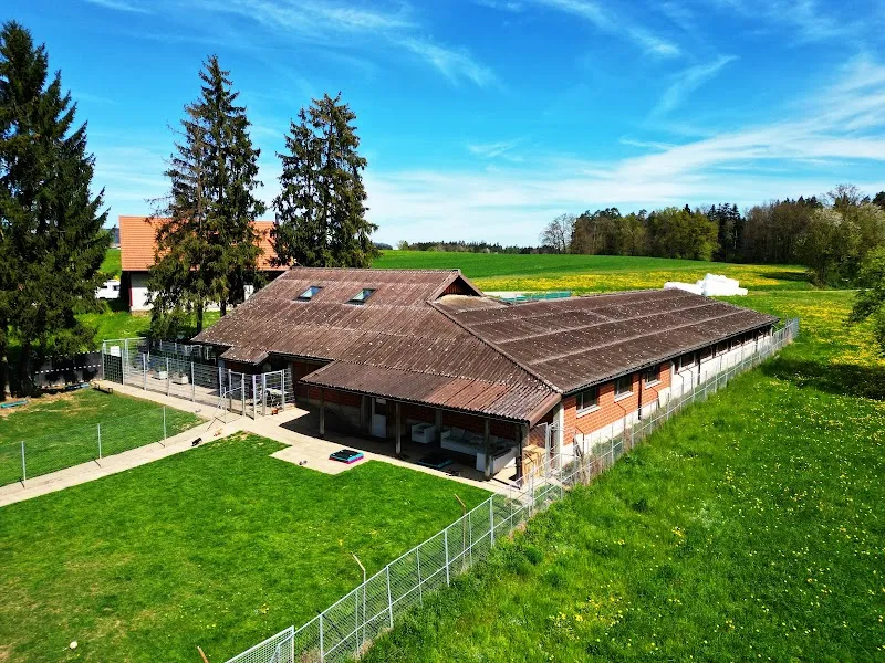 TBO Wängi — Katzenpension in Wängi, Thurgau. Bewertung 4.9/5.